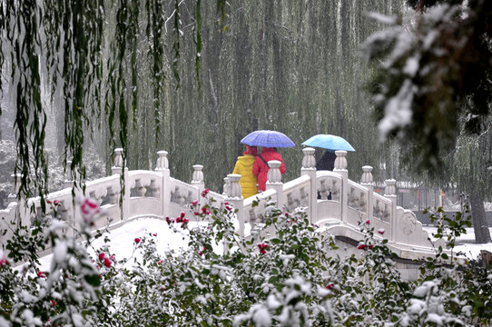 雪中行