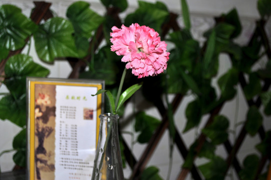小洲村 藝術(shù)村