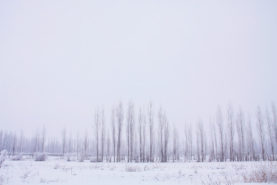 大雪