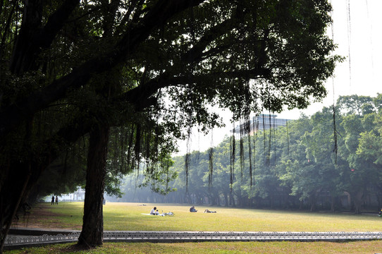中山大學