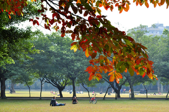 中山大學(xué)