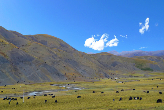 西藏美景