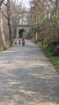 峰回路轉(zhuǎn)