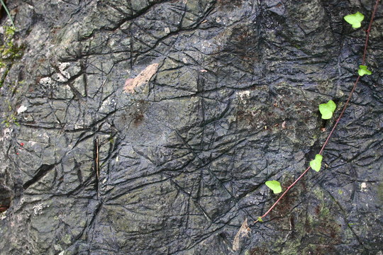 斑駁石頭