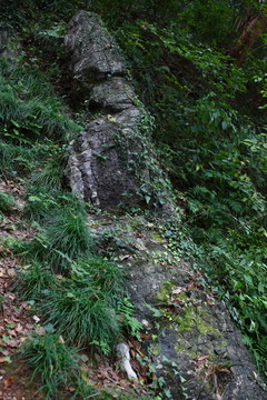 山坡