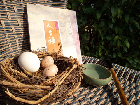家居飾品創(chuàng)意攝影