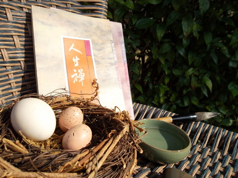 家居飾品創(chuàng)意攝影