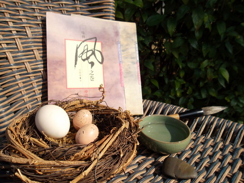 家居飾品創(chuàng)意攝影