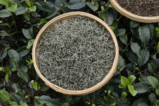 茶葉