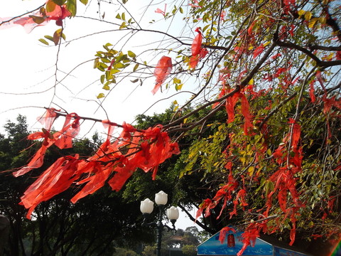許愿樹