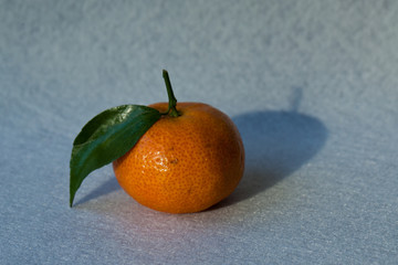 橘子 小葉橘