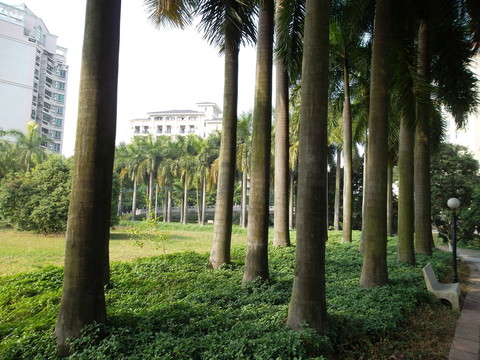景觀園林