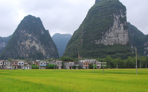 明仕田園風(fēng)光