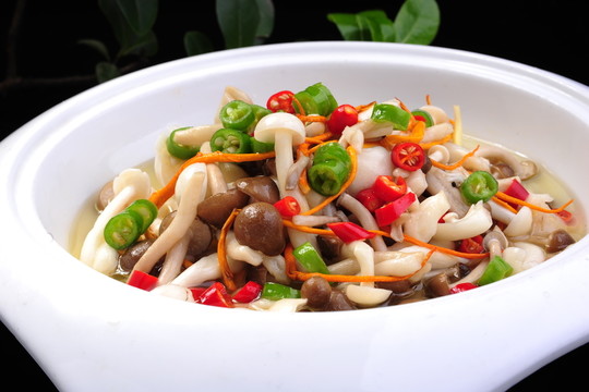 菌菇