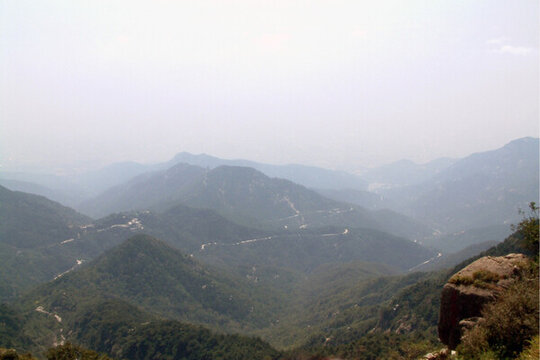 泰山