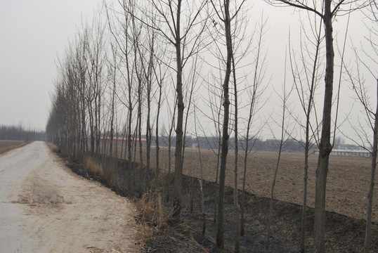 土路