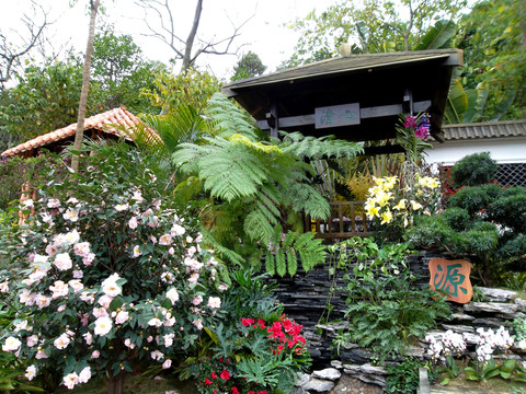 云臺(tái)花園 園林景觀