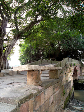 千年古村 番禺大嶺村