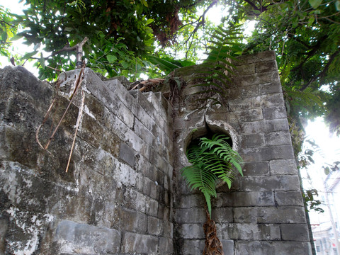 千年古村 番禺大嶺村