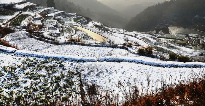 田園風(fēng)光
