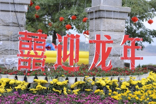 龍年