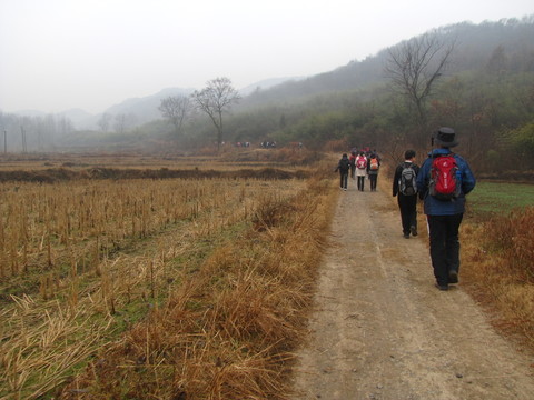 行進在田野