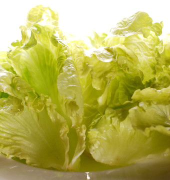 生菜