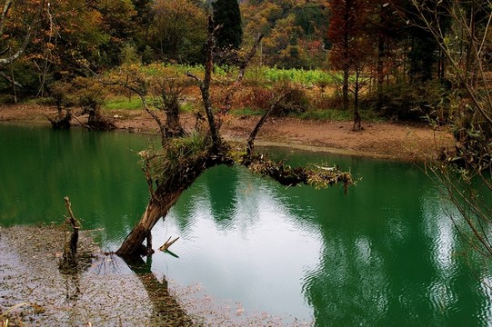 湖北鶴峰董家河風(fēng)光