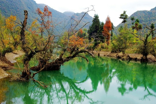 湖北鶴峰董家河風(fēng)光