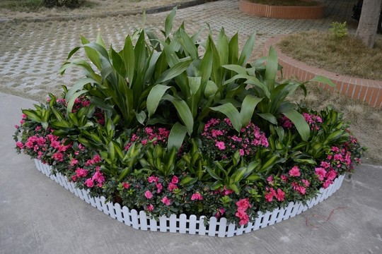 花圃