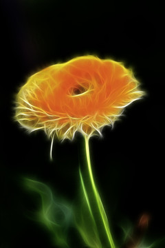 小花