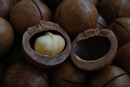 澳洲堅(jiān)果