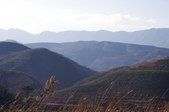 山村