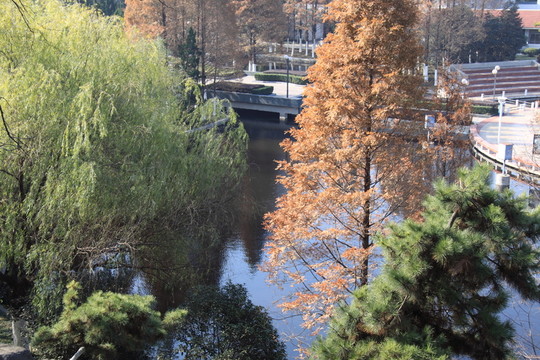 公園景色