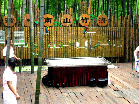 動(dòng)物表演