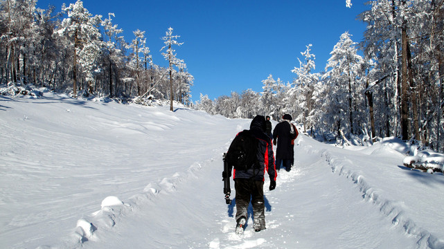 大興安嶺 雪林
