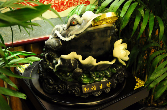 發(fā)財蟾蜍
