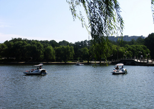 鞍山市  二一九公園