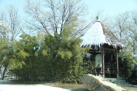亭子雪景