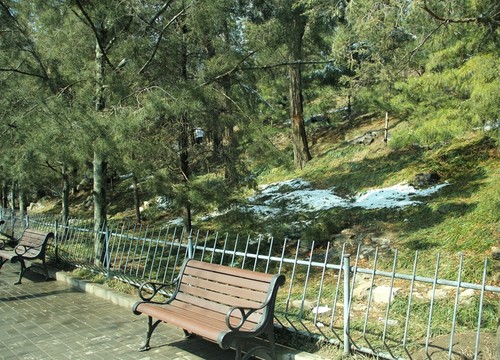 公園一角