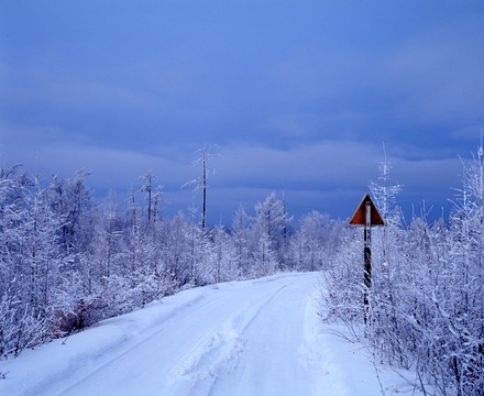 冬雪公路（非高清）