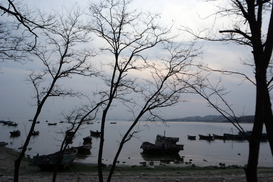 大海