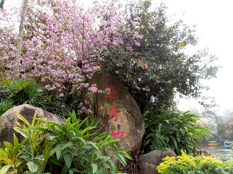 越秀公園