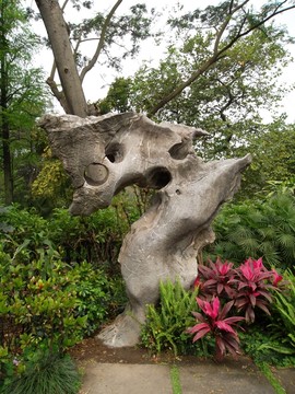 越秀公園 假山 觀賞石