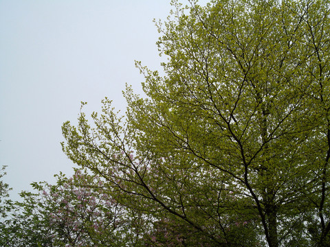 越秀公園