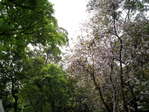 越秀公園