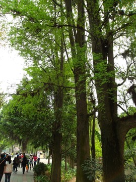 越秀公園
