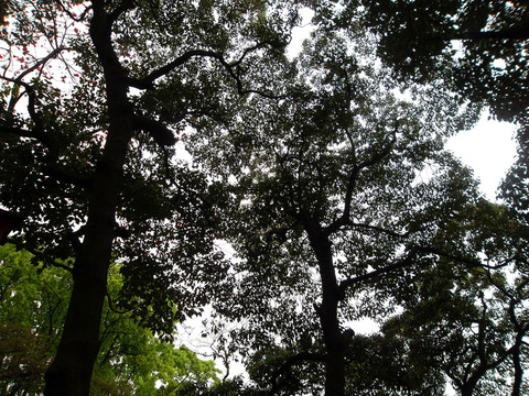 越秀公園