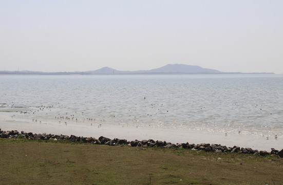 巢湖岸邊