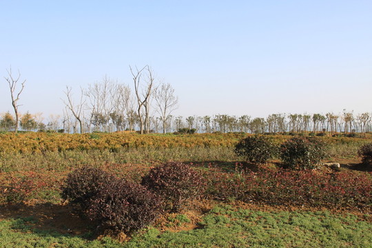巢湖岸邊